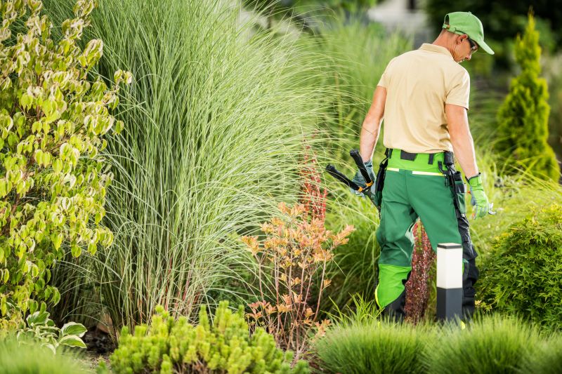 Commercial Landscape Service detail