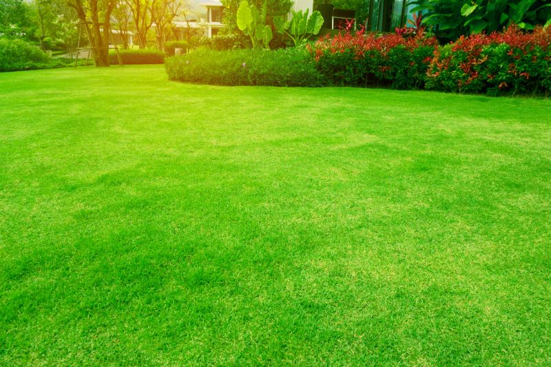 Lawn and Turf Services