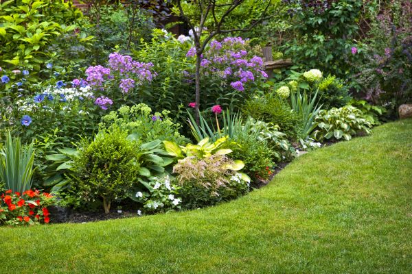 Flower Bed Service in Greenville