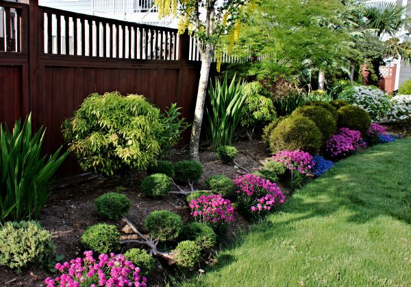 Garden Care Service in Greenville