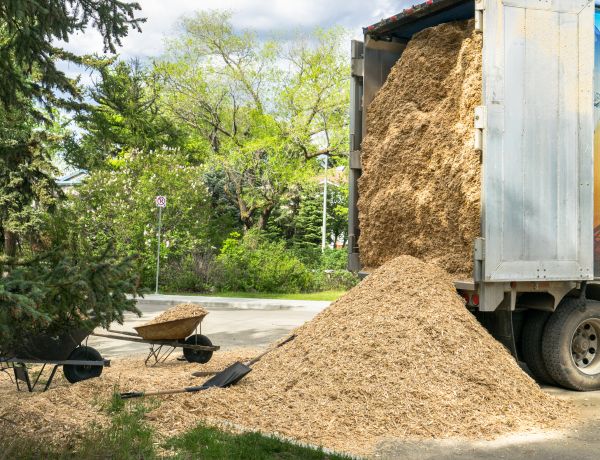 Wood Chips Delivery in Greenville