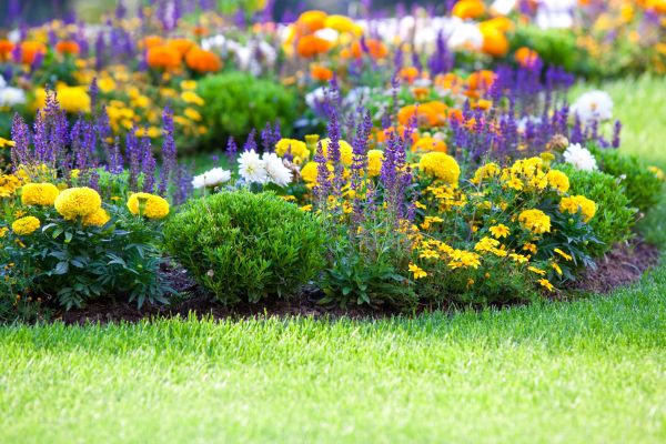 Garden Installation in Greenville