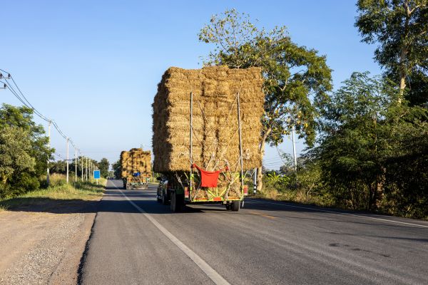 Pine Straw Delivery in Greenville