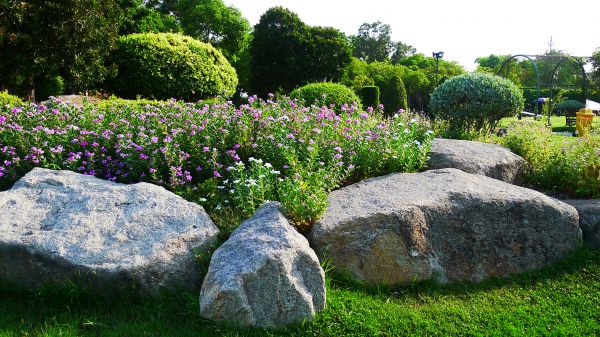 Boulder Landscaping in Greenville