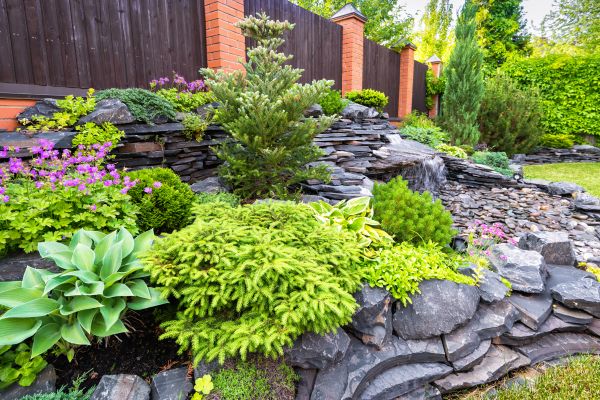Landscape Remodeling in Greenville