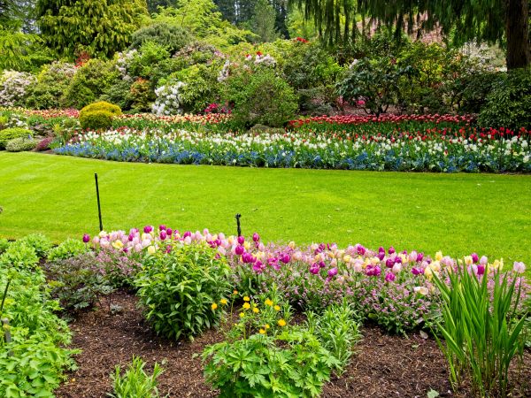 Residential Landscape Design in Greenville