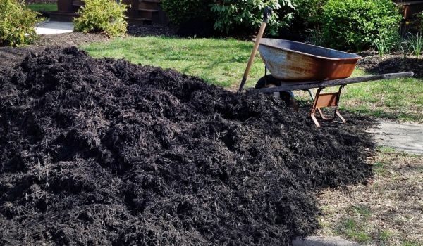 Black Mulch Installation in Greenville