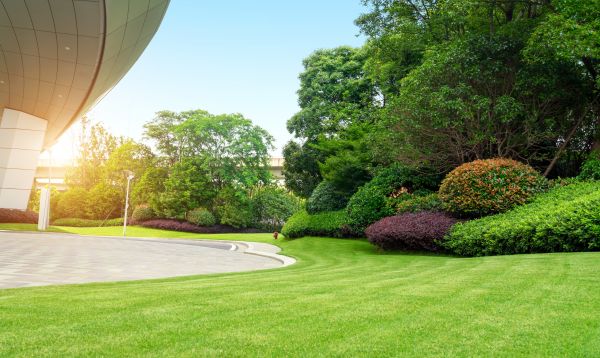 Business Landscape Design in Greenville