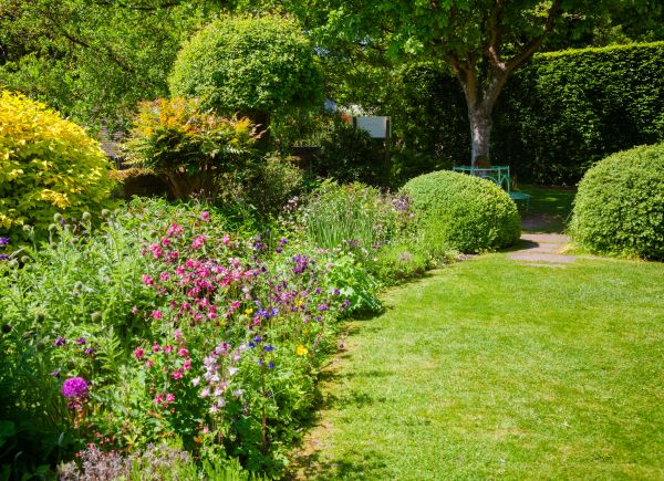 Yard Landscaping Service in Greenville
