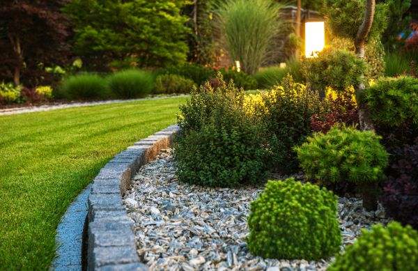 Landscaping Service in Greenville
