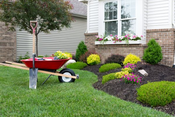 Tree And Shrub Planting in Greenville