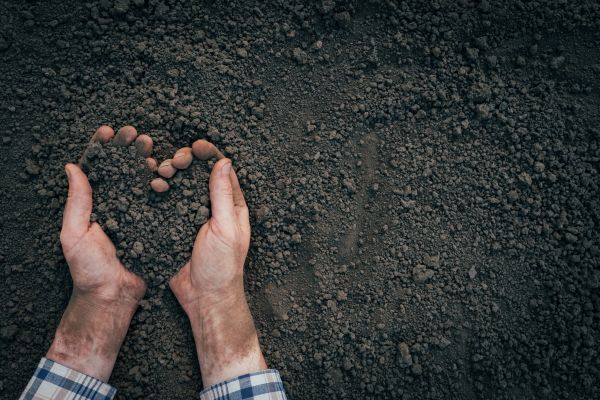 Soil Installation in Greenville