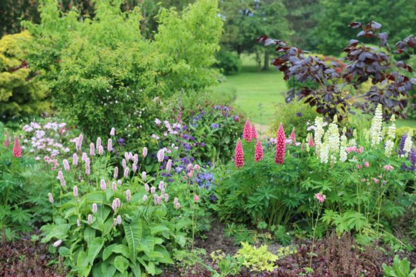 Flower Bed Planting in Greenville