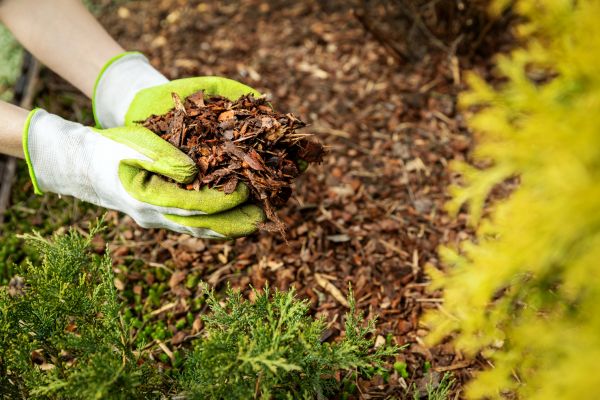 Garden Mulch Delivery in Greenville