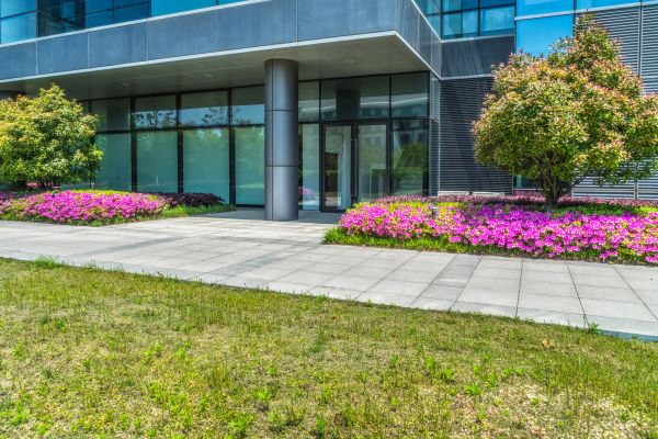 Commercial Gardening in Greenville
