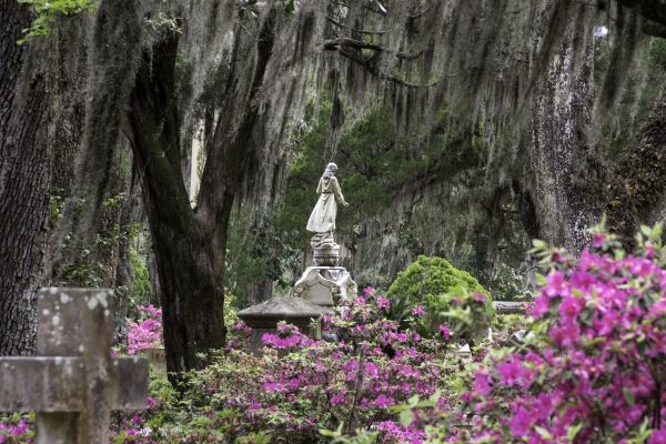 Cemetery Landscaping in Greenville