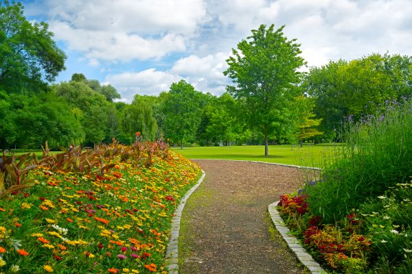 Park Landscaping in Greenville