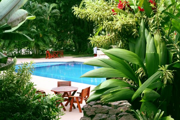 Tropical Garden Landscaping in Greenville