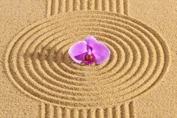 Sand Garden Landscaping in Greenville