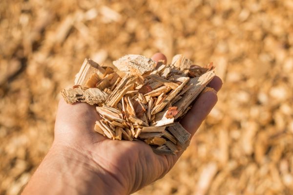 Wood Chips Spreading in Greenville