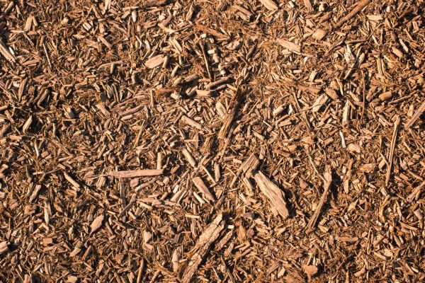 Wood Chips Removal in Greenville