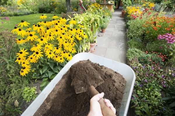 Topsoil Replacement in Greenville