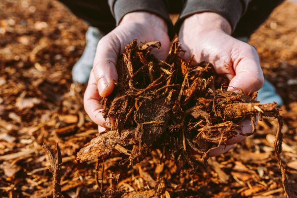 Bark Chips Delivery in Greenville
