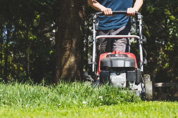 Garden Trimming Service in Greenville