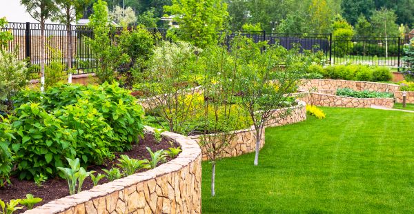 Yard Makeover Service in Greenville