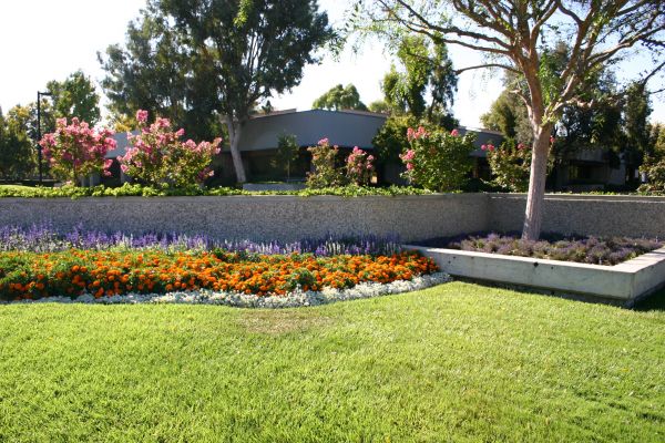 Commercial Landscape Service in Greenville