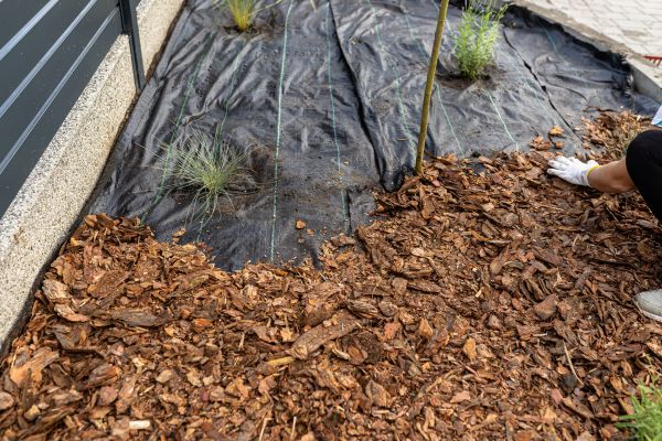 Pine Bark Spreading in Greenville