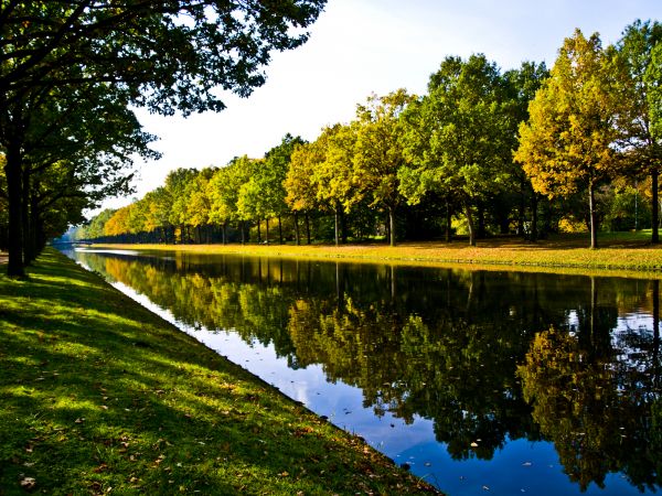 Bank Landscaping in Greenville