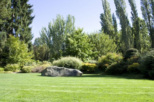Yard Enlargement in Greenville