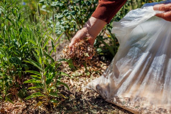 Wood Mulch Installation in Greenville