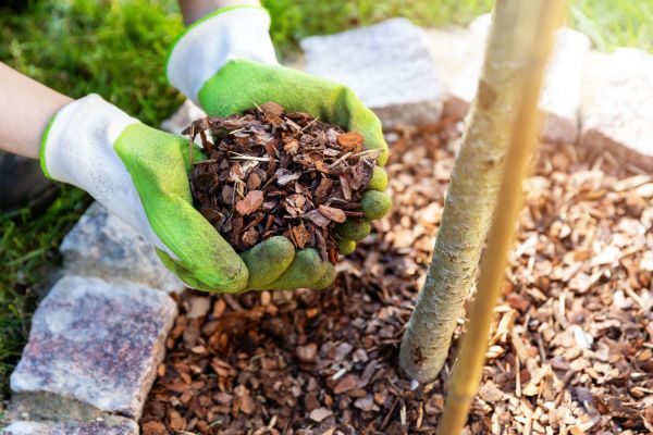 Tree Bark Delivery in Greenville