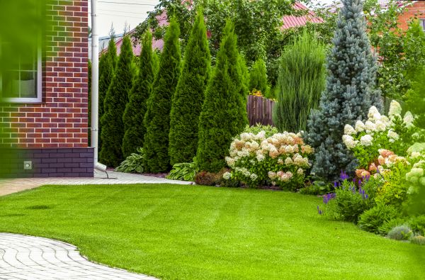 Spring Landscaping in Greenville