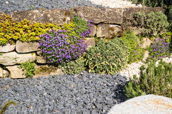 Landscaping Rocks Installation in Greenville