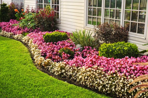 Garden Landscape Design in Greenville