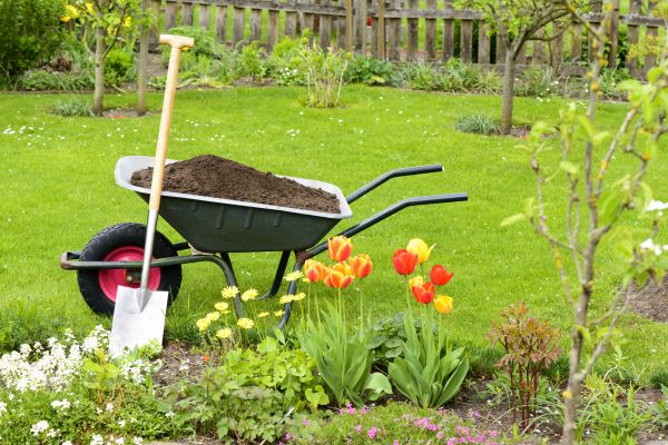 Spring Yard Renovation in Greenville