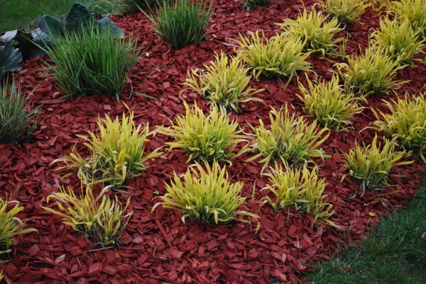 Red Mulch Installation in Greenville