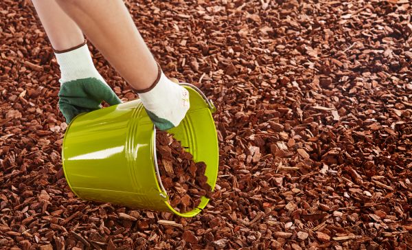 Wood Chip Landscaping in Greenville