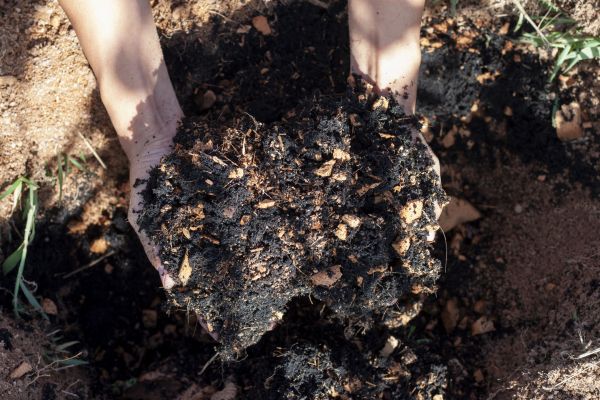 Organic Mulch Installation in Greenville