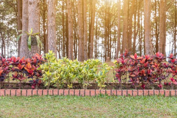 Small Garden Landscaping in Greenville