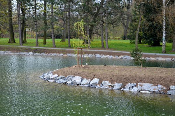 Pond Landscaping Service in Greenville