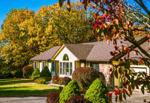 Ranch Landscaping in Greenville