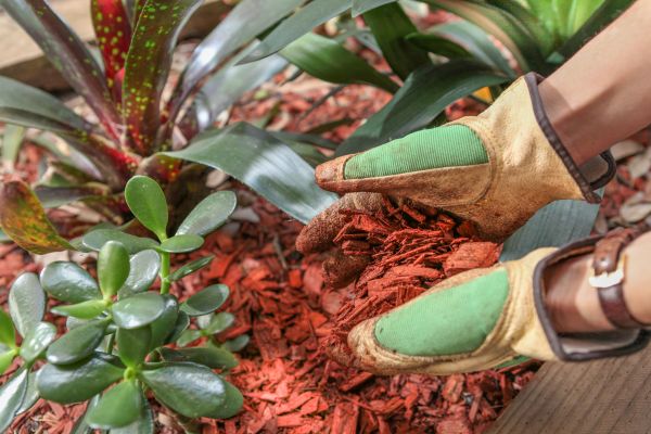 Residential Mulching in Greenville