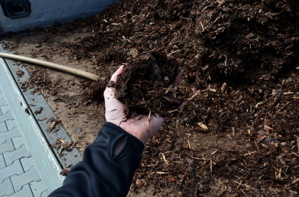 Condo Mulching in Greenville