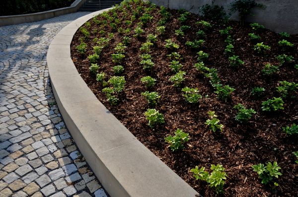 Commercial Mulching in Greenville