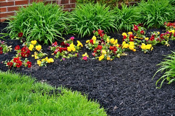 Apartment Mulching in Greenville